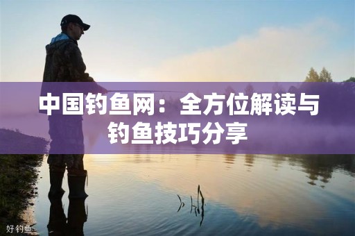 中国钓鱼网：全方位解读与钓鱼技巧分享