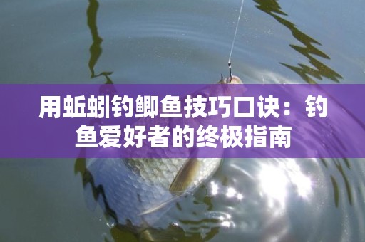 用蚯蚓钓鲫鱼技巧口诀：钓鱼爱好者的终极指南