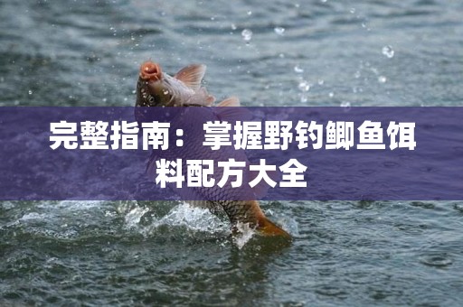 完整指南：掌握野钓鲫鱼饵料配方大全