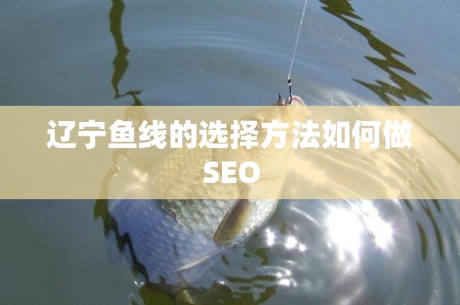 辽宁鱼线的选择方法如何做SEO