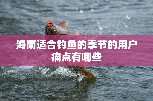海南适合钓鱼的季节的用户痛点有哪些