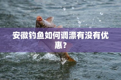 安徽钓鱼如何调漂有没有优惠？