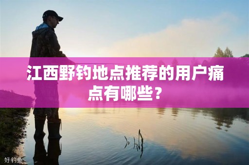 江西野钓地点推荐的用户痛点有哪些？