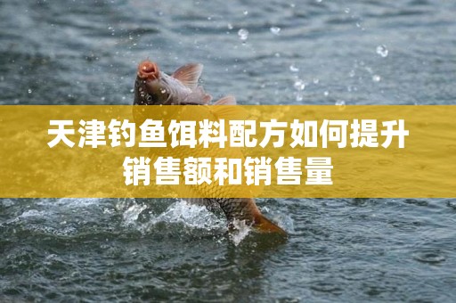 天津钓鱼饵料配方如何提升销售额和销售量