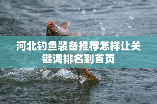 河北钓鱼装备推荐怎样让关键词排名到首页