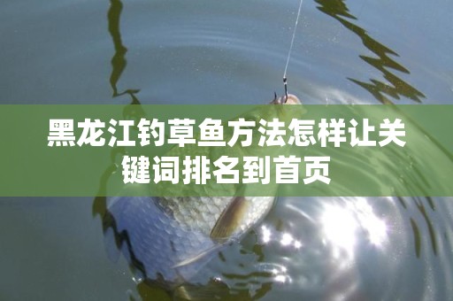 黑龙江钓草鱼方法怎样让关键词排名到首页