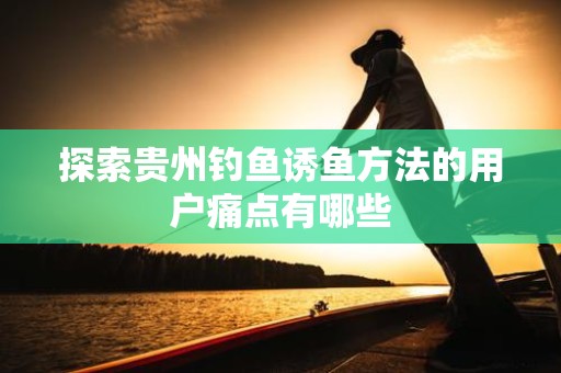 探索贵州钓鱼诱鱼方法的用户痛点有哪些