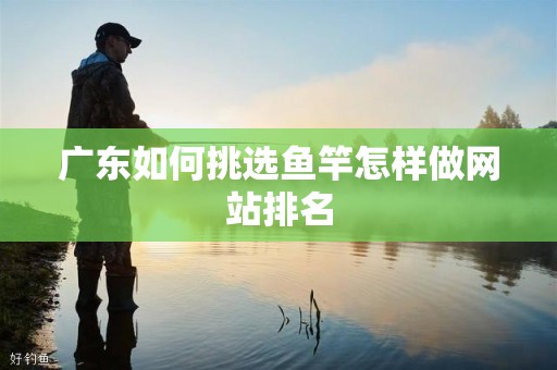 广东如何挑选鱼竿怎样做网站排名