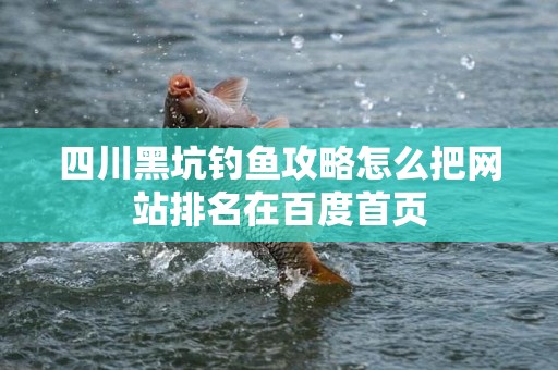 四川黑坑钓鱼攻略怎么把网站排名在百度首页