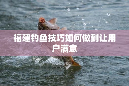 福建钓鱼技巧如何做到让用户满意