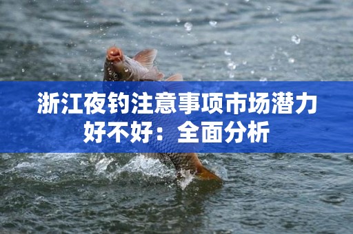 浙江夜钓注意事项市场潜力好不好：全面分析