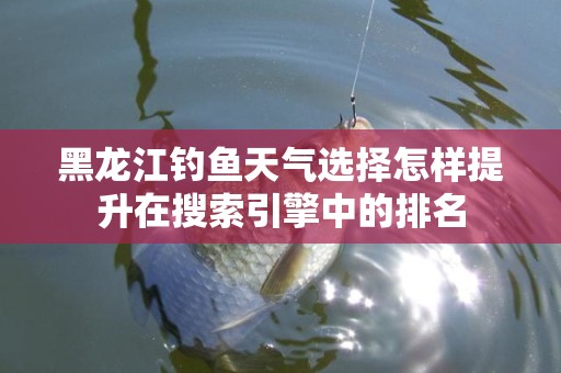 黑龙江钓鱼天气选择怎样提升在搜索引擎中的排名