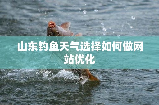 山东钓鱼天气选择如何做网站优化