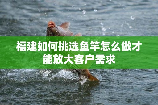 福建如何挑选鱼竿怎么做才能放大客户需求