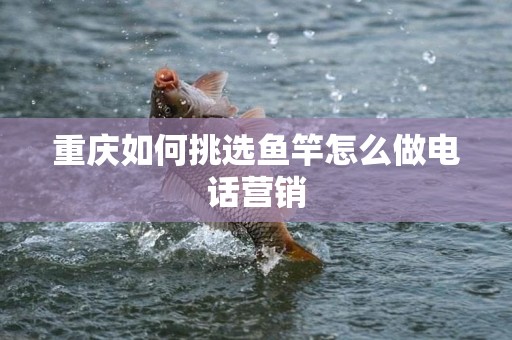 重庆如何挑选鱼竿怎么做电话营销