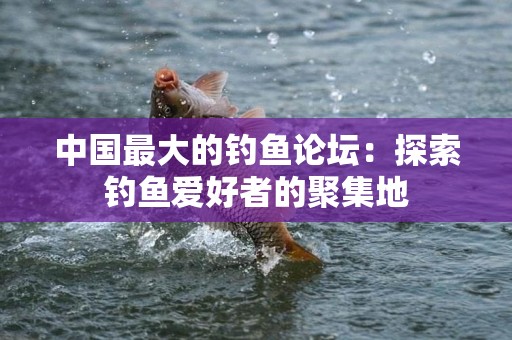 中国最大的钓鱼论坛：探索钓鱼爱好者的聚集地