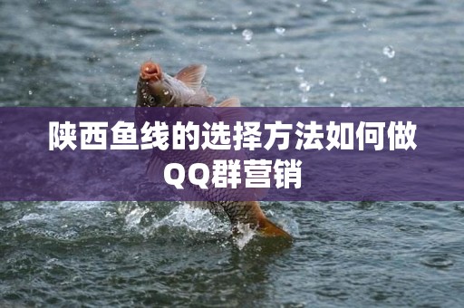 陕西鱼线的选择方法如何做QQ群营销