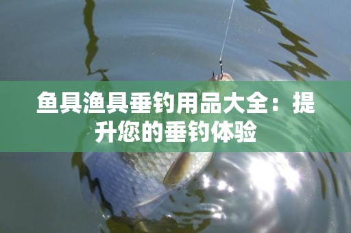 鱼具渔具垂钓用品大全：提升您的垂钓体验