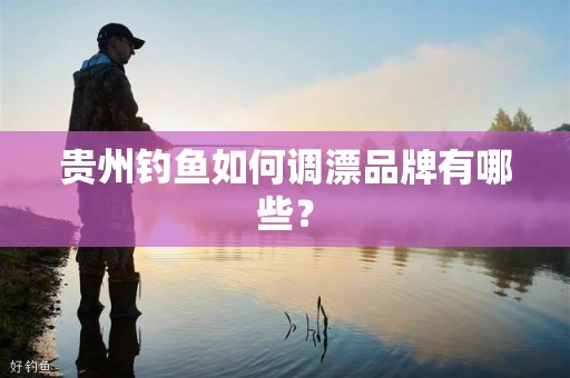 贵州钓鱼如何调漂品牌有哪些？