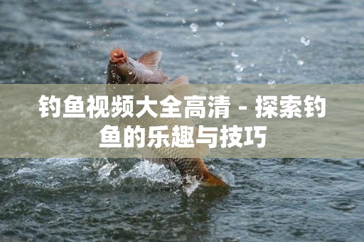 钓鱼视频大全高清 - 探索钓鱼的乐趣与技巧