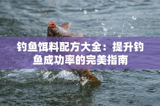 钓鱼饵料配方大全：提升钓鱼成功率的完美指南
